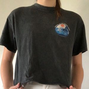 Brandy Melville Natives of the Golden Coast Crop